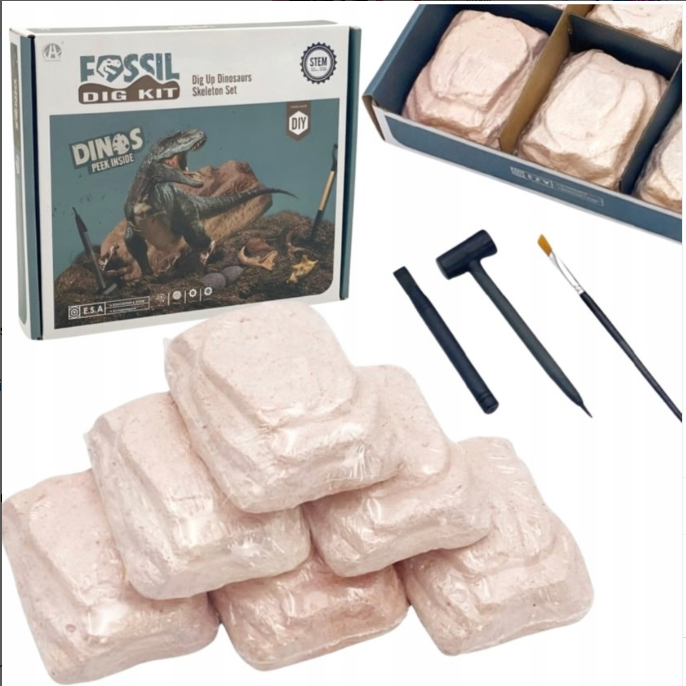 Woopie Fossil 6-in-1 Dig Kit π¦